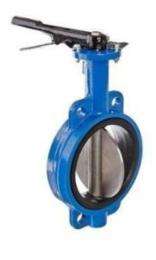 Qinn 50 mm Manual CS Butterfly Valves Flanged PN 16_0