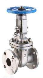 CS Globe Valves 300 mm_0