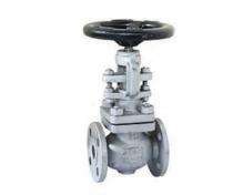Hydraulic CI Check Valves 15 - 300 mm Flanged AV-289_0