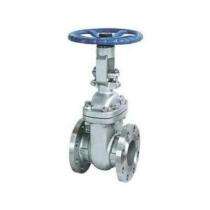 Leader 15 mm Manual SS Gate Valves Flanged PN 10_0