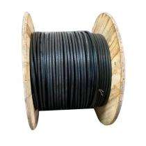Copper XLPE Armoured PVC LT Power Cables 10 Core 2.5 sqmm 1.1 kV_0