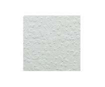 Gyproc 6 mm Gypsum False Ceiling 1220 x 1220 mm_0