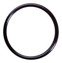 PIONEER 200 mm Silicon O Rings_0