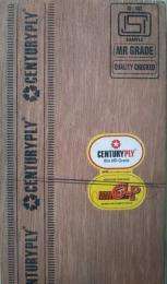 CENTURYPLY 12 mm Waterproof Plywood 2440 x 1220 mm IS 710_0