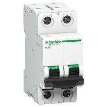Schneider Electric A9N2P02D Double Pole 2 A D MCB_0