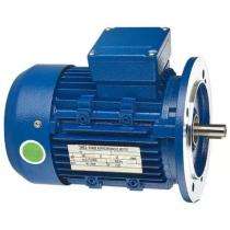 Crompton Greaves ND 1440 rpm Three Phase 0.5 hp Four Pole Flange Mounted AC Motors_0