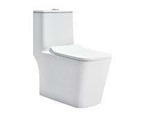 CERA EWC with Seat Cover and Flush CHARM 6D Floor_0