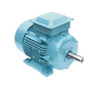 ABB E2BA355MLB4H 1486 rpm Three Phase 540 hp Four Pole Foot Mounted AC Motors_0