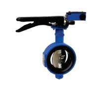 ARMORFIRE 10 inch Motorized CI Butterfly Valves Flanged PN 1.6_0