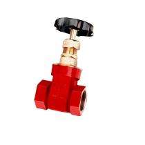 DRP Bronze Gate Valves GH 15 mm_0