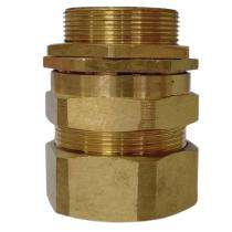 CD01 Double Compression Cable Gland 4 inch_0