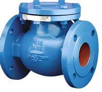 Cair Swing Type CI Non Return Valves 100 mm Flanged NRV_0