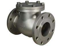 Cair Swing Type CI Non Return Valves 100 mm Flanged NRV_0