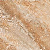 L&T SuFin Brand - Gravis Bloom Brown 600 x 600 mm Brown Glossy Glazed Vitrified Tile_0