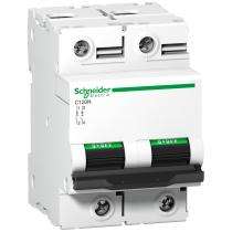 Schneider Electric A9N18362 Double Pole 100 A C MCB_0