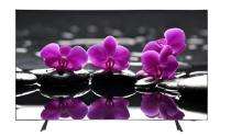DAEWOO 65 inch Ultra HD 4K 4K UHD WebOS Smart TV_0