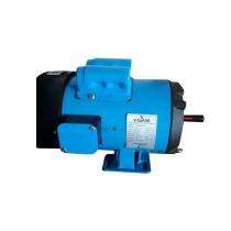 V-Guard VIS4AB56E1-10D 1440 rpm Single Phase 1 hp Four Pole Foot Mounted AC Motors_0