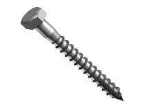 Coach Screw 10x20 8.8_0