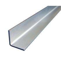 Rajtek 25 x 25 mm SS Angles 1.13 kg/m 304 6 m_0