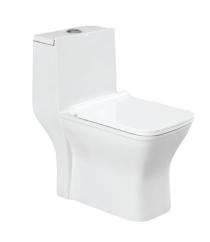 Bluecera EWC with Seat Cover and Flush BC5020 One Piece Floor_0