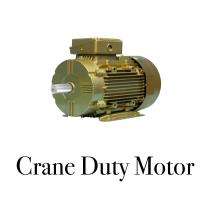 CG CRANE S4 1500 rpm Three Phase 0.75 hp Four Pole Foot cum Flange Mounted AC Motors_0