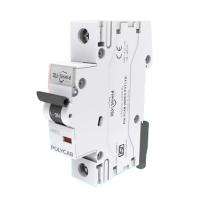 Polycab GMM101P001 Single Pole 6 A B MCB_0